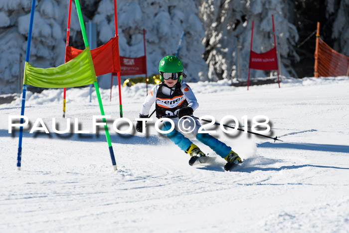 Ziener Cup WF, Finale, Quali + Parallelslalom, 24.03.2018