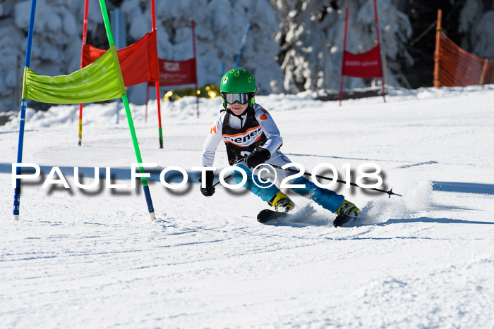Ziener Cup WF, Finale, Quali + Parallelslalom, 24.03.2018