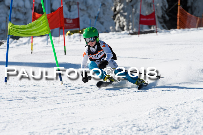 Ziener Cup WF, Finale, Quali + Parallelslalom, 24.03.2018