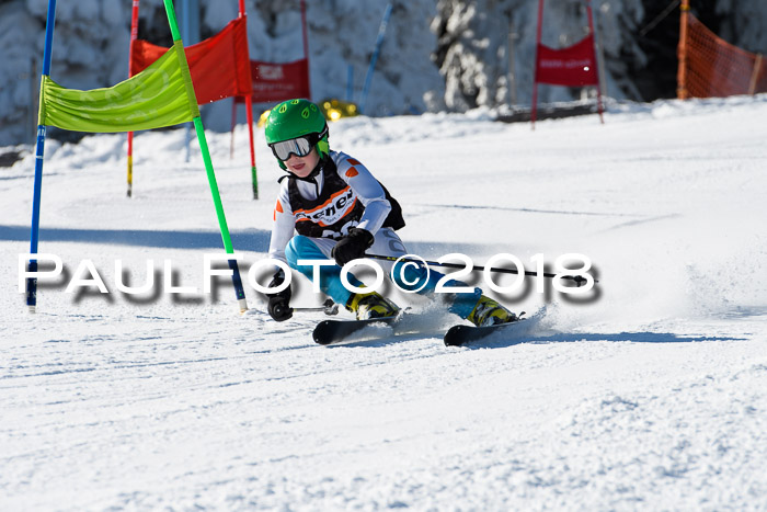 Ziener Cup WF, Finale, Quali + Parallelslalom, 24.03.2018