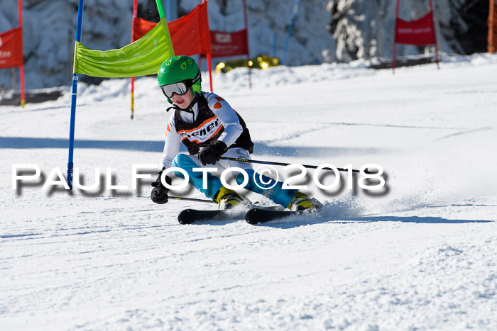 Ziener Cup WF, Finale, Quali + Parallelslalom, 24.03.2018