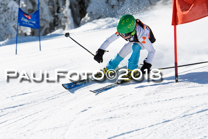 Ziener Cup WF, Finale, Quali + Parallelslalom, 24.03.2018
