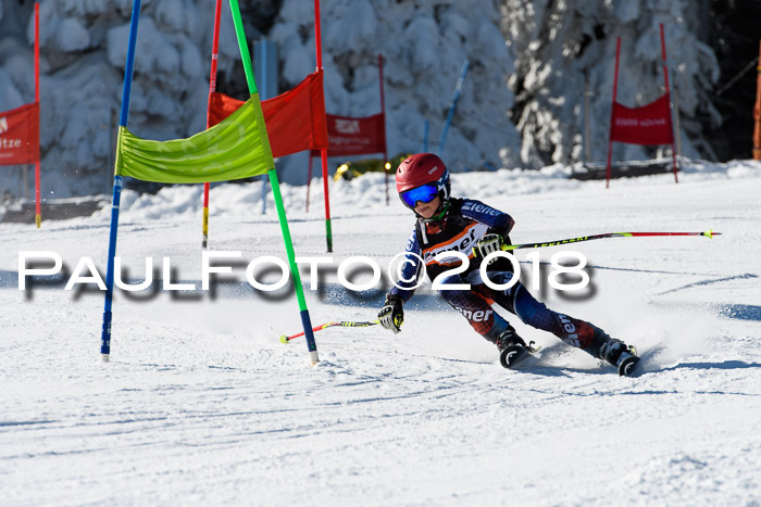 Ziener Cup WF, Finale, Quali + Parallelslalom, 24.03.2018