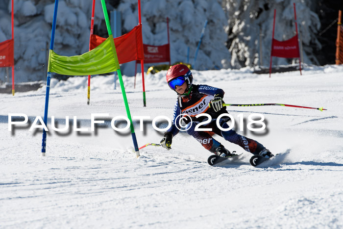 Ziener Cup WF, Finale, Quali + Parallelslalom, 24.03.2018