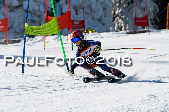 Ziener Cup WF, Finale, Quali + Parallelslalom, 24.03.2018