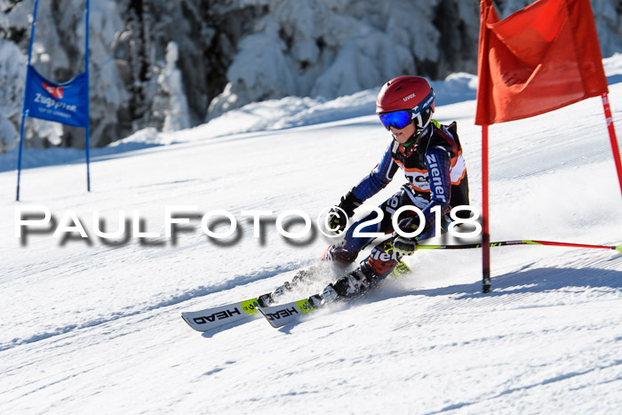 Ziener Cup WF, Finale, Quali + Parallelslalom, 24.03.2018