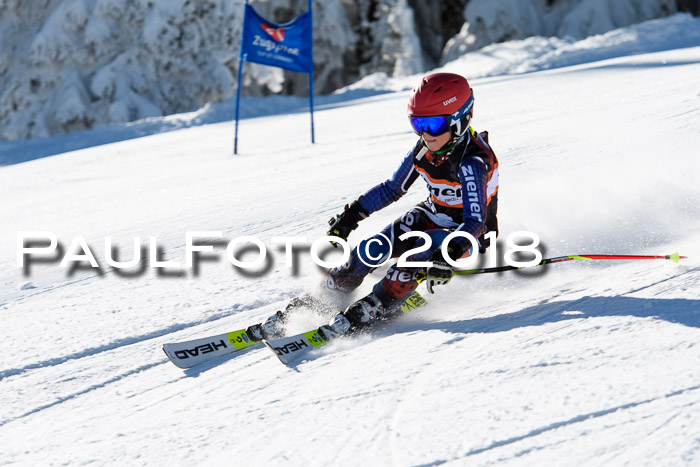 Ziener Cup WF, Finale, Quali + Parallelslalom, 24.03.2018