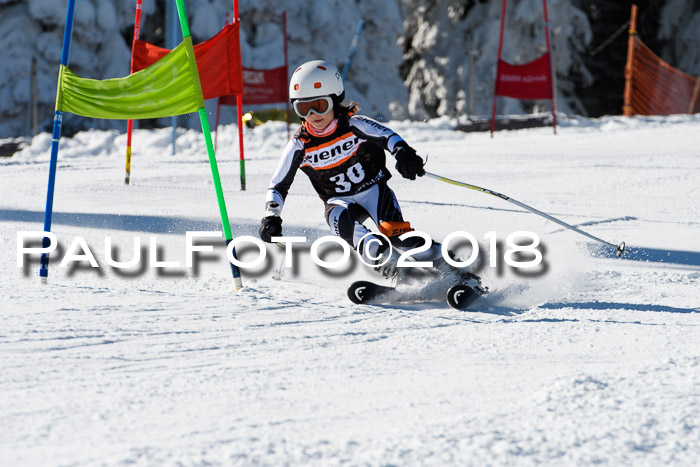 Ziener Cup WF, Finale, Quali + Parallelslalom, 24.03.2018