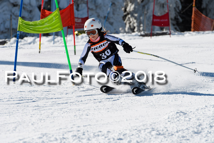 Ziener Cup WF, Finale, Quali + Parallelslalom, 24.03.2018