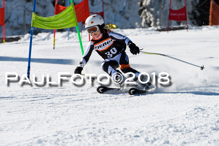 Ziener Cup WF, Finale, Quali + Parallelslalom, 24.03.2018