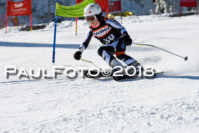 Ziener Cup WF, Finale, Quali + Parallelslalom, 24.03.2018