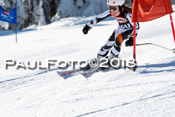 Ziener Cup WF, Finale, Quali + Parallelslalom, 24.03.2018