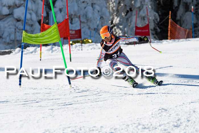 Ziener Cup WF, Finale, Quali + Parallelslalom, 24.03.2018