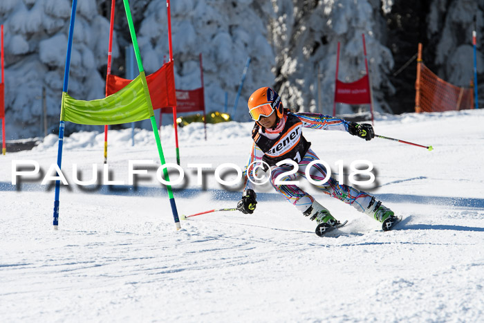 Ziener Cup WF, Finale, Quali + Parallelslalom, 24.03.2018