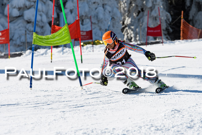 Ziener Cup WF, Finale, Quali + Parallelslalom, 24.03.2018