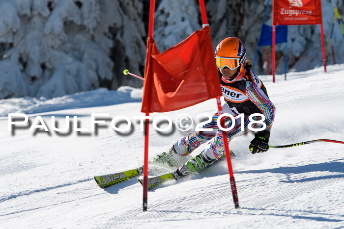 Ziener Cup WF, Finale, Quali + Parallelslalom, 24.03.2018