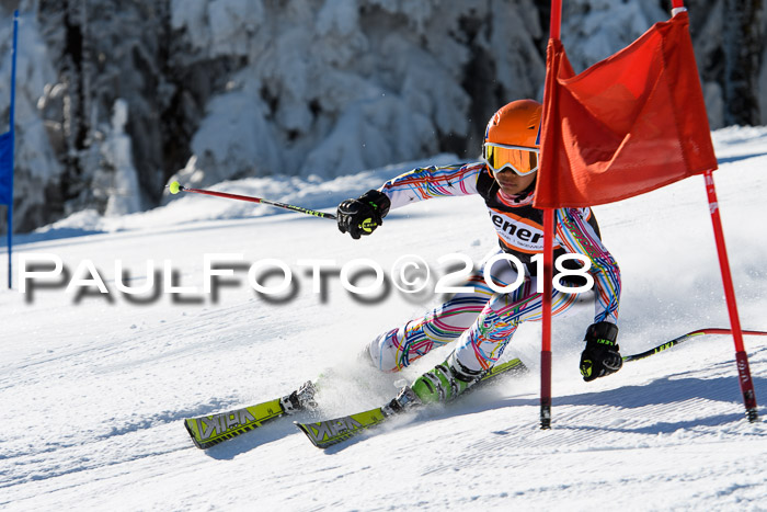 Ziener Cup WF, Finale, Quali + Parallelslalom, 24.03.2018