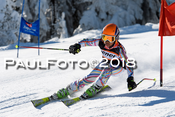 Ziener Cup WF, Finale, Quali + Parallelslalom, 24.03.2018