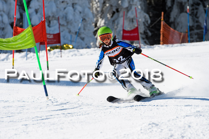Ziener Cup WF, Finale, Quali + Parallelslalom, 24.03.2018