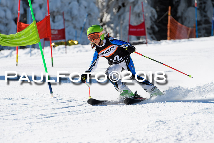 Ziener Cup WF, Finale, Quali + Parallelslalom, 24.03.2018