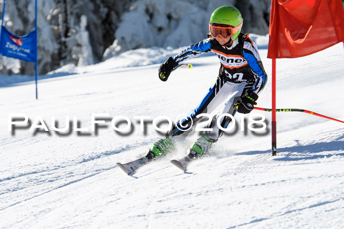 Ziener Cup WF, Finale, Quali + Parallelslalom, 24.03.2018