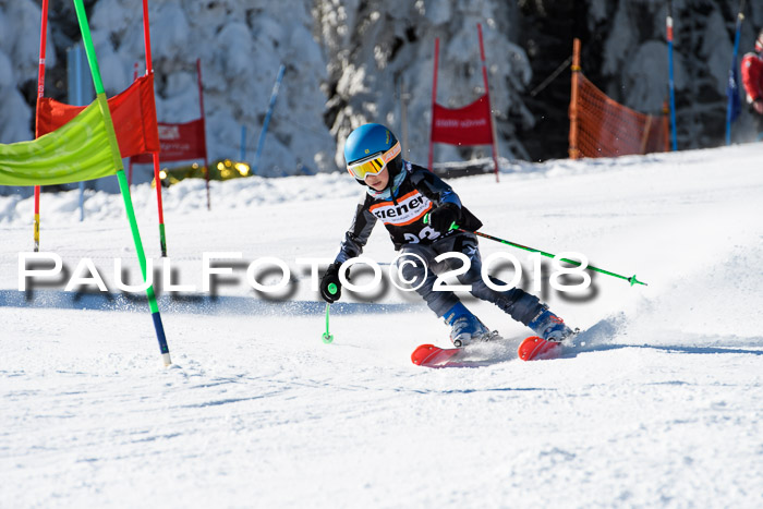 Ziener Cup WF, Finale, Quali + Parallelslalom, 24.03.2018