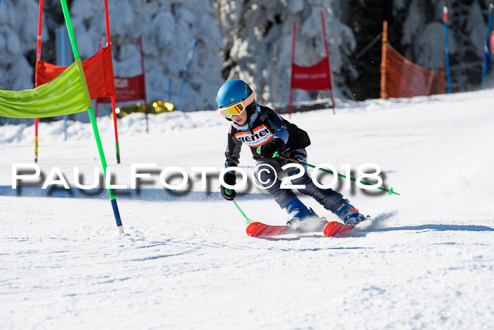 Ziener Cup WF, Finale, Quali + Parallelslalom, 24.03.2018