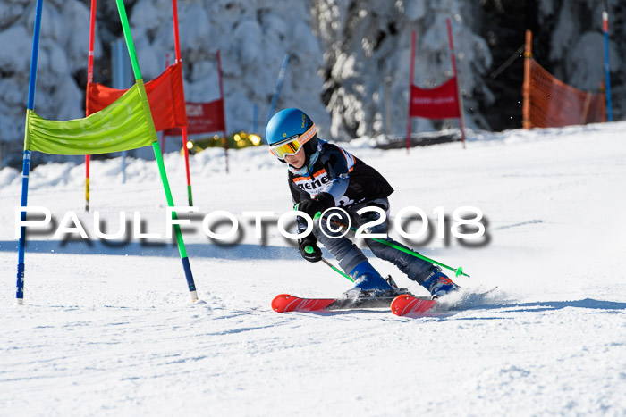 Ziener Cup WF, Finale, Quali + Parallelslalom, 24.03.2018
