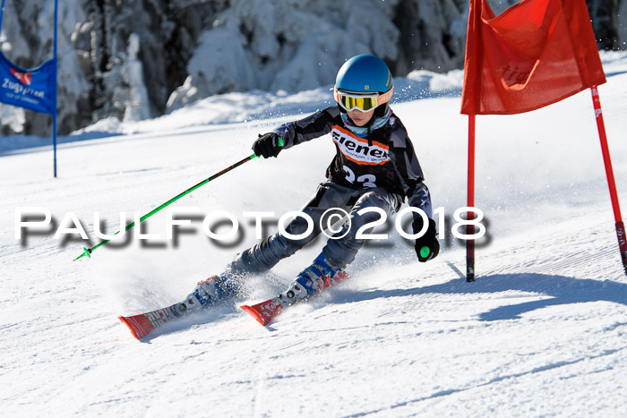 Ziener Cup WF, Finale, Quali + Parallelslalom, 24.03.2018