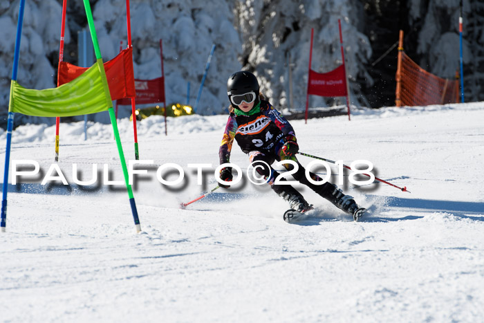 Ziener Cup WF, Finale, Quali + Parallelslalom, 24.03.2018