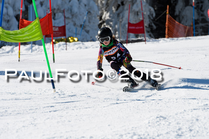 Ziener Cup WF, Finale, Quali + Parallelslalom, 24.03.2018