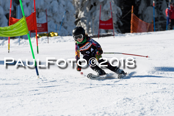 Ziener Cup WF, Finale, Quali + Parallelslalom, 24.03.2018