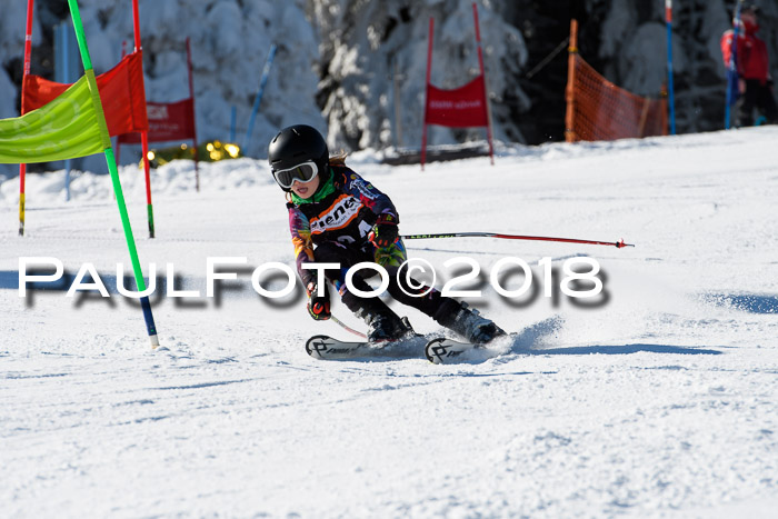 Ziener Cup WF, Finale, Quali + Parallelslalom, 24.03.2018