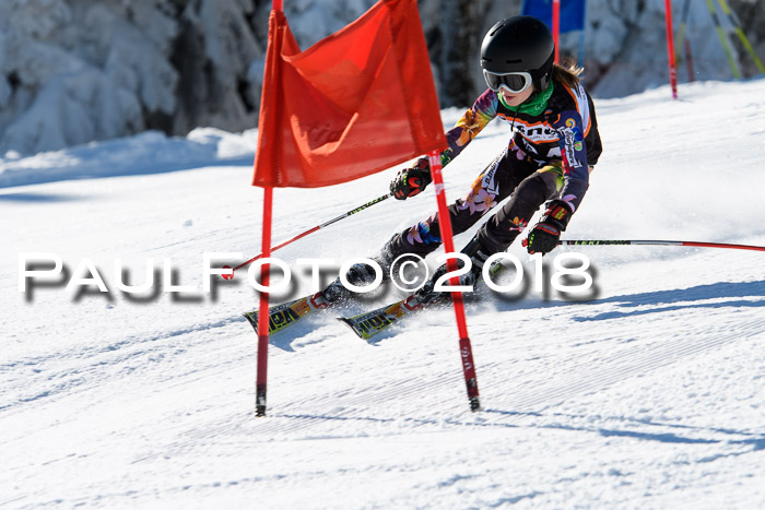 Ziener Cup WF, Finale, Quali + Parallelslalom, 24.03.2018