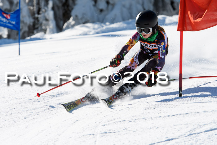 Ziener Cup WF, Finale, Quali + Parallelslalom, 24.03.2018
