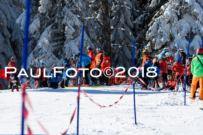Ziener Cup WF, Finale, Quali + Parallelslalom, 24.03.2018