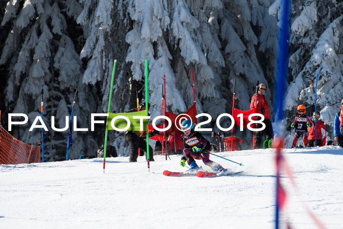 Ziener Cup WF, Finale, Quali + Parallelslalom, 24.03.2018