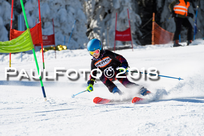 Ziener Cup WF, Finale, Quali + Parallelslalom, 24.03.2018