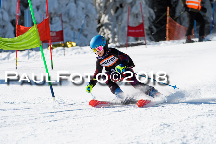 Ziener Cup WF, Finale, Quali + Parallelslalom, 24.03.2018