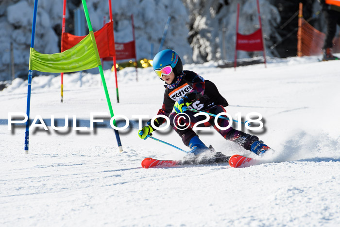 Ziener Cup WF, Finale, Quali + Parallelslalom, 24.03.2018