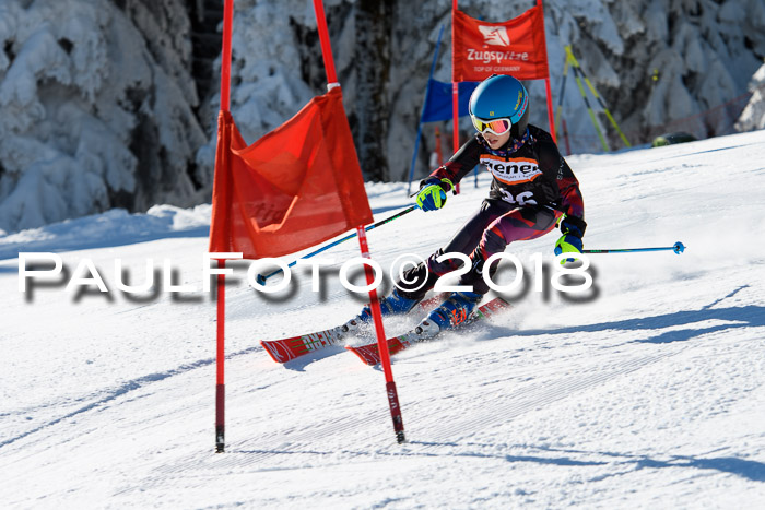 Ziener Cup WF, Finale, Quali + Parallelslalom, 24.03.2018