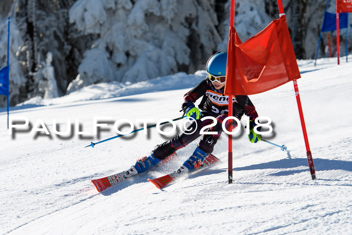Ziener Cup WF, Finale, Quali + Parallelslalom, 24.03.2018