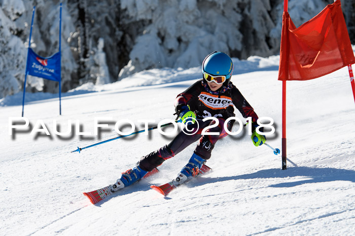 Ziener Cup WF, Finale, Quali + Parallelslalom, 24.03.2018