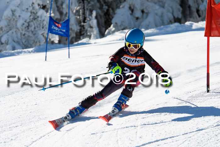 Ziener Cup WF, Finale, Quali + Parallelslalom, 24.03.2018