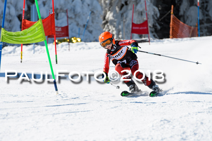 Ziener Cup WF, Finale, Quali + Parallelslalom, 24.03.2018