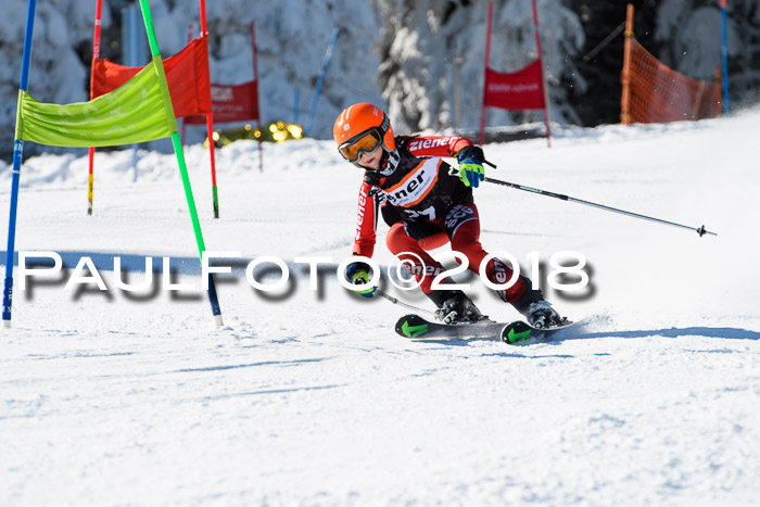 Ziener Cup WF, Finale, Quali + Parallelslalom, 24.03.2018