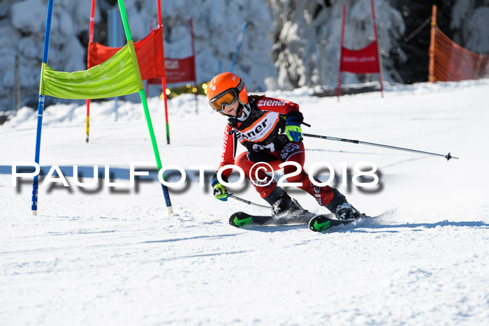 Ziener Cup WF, Finale, Quali + Parallelslalom, 24.03.2018