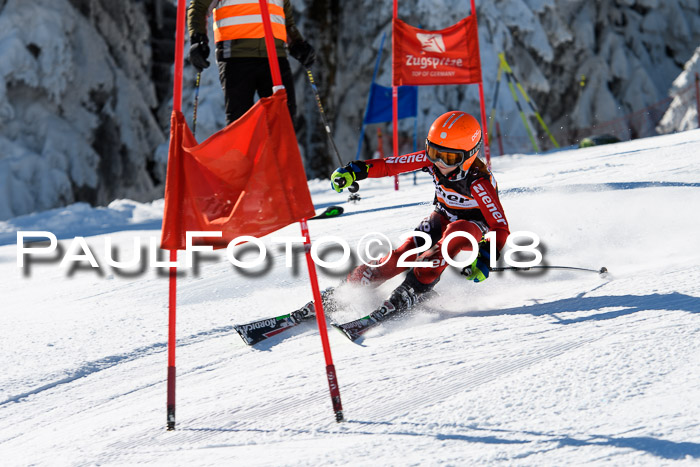 Ziener Cup WF, Finale, Quali + Parallelslalom, 24.03.2018