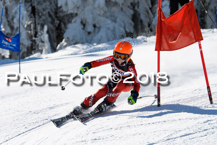 Ziener Cup WF, Finale, Quali + Parallelslalom, 24.03.2018