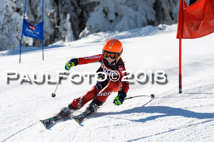 Ziener Cup WF, Finale, Quali + Parallelslalom, 24.03.2018